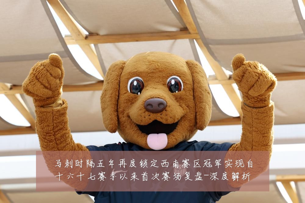 马刺时隔五年再度锁定西南赛区冠军实现自十六十七赛季以来首次赛场复盘-深度解析
